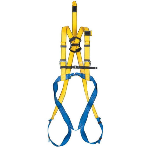 Picture of Safety Harnesses P30 ΕΝ361