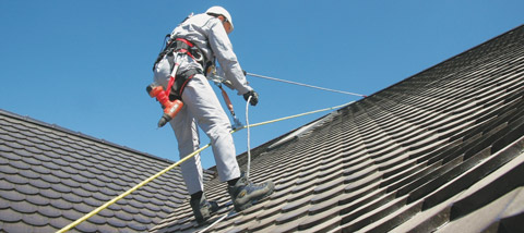 Fall Protection Safety